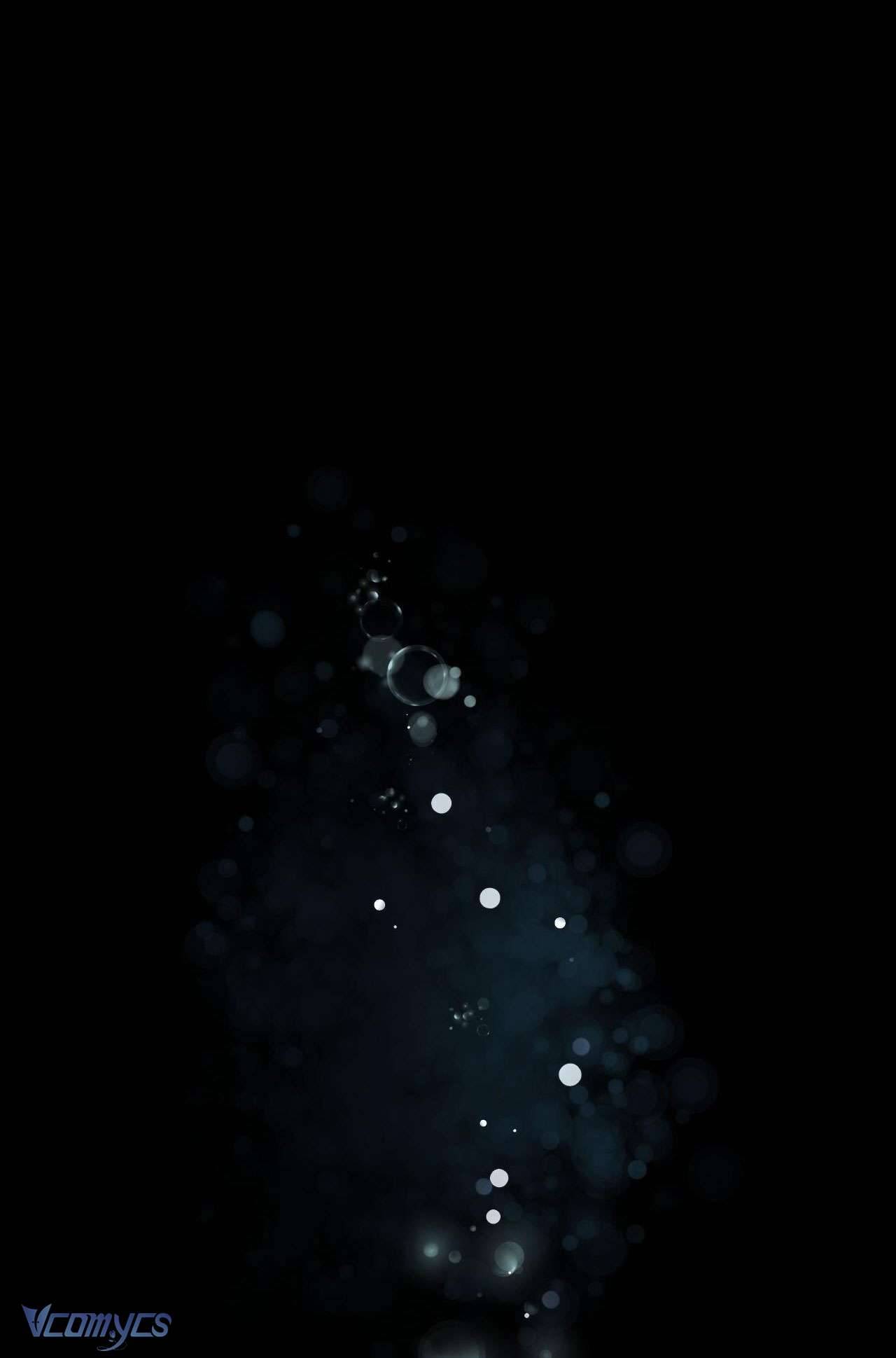 Thánh Nữ Giả Muốn Bỏ Trốn Chap 12 - Trang 4