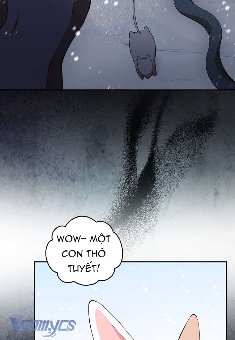 Sóc Con Tài Năng Chap 5 - Next Chap 6