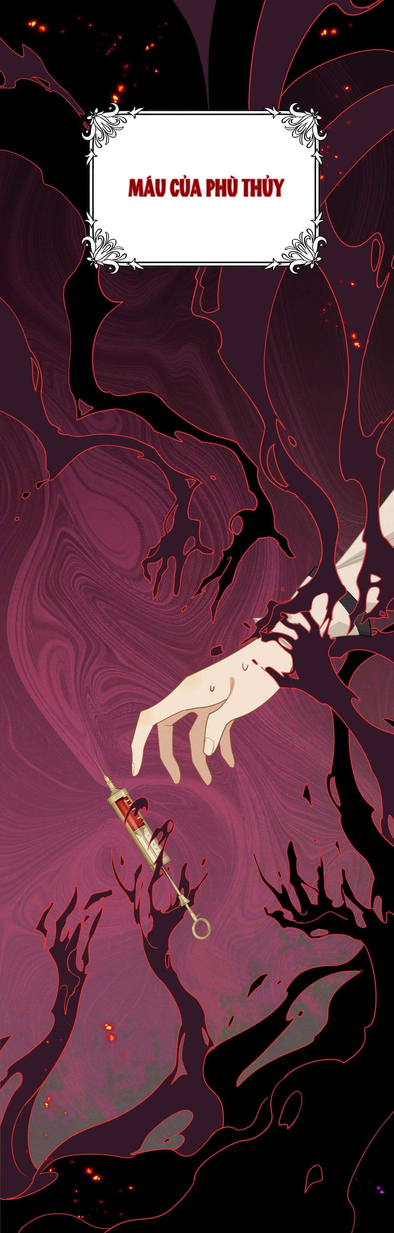 Xuyên thành phù thủy nuôi dưỡng kỵ sĩ thánh điện Chapter 36 - Trang 4