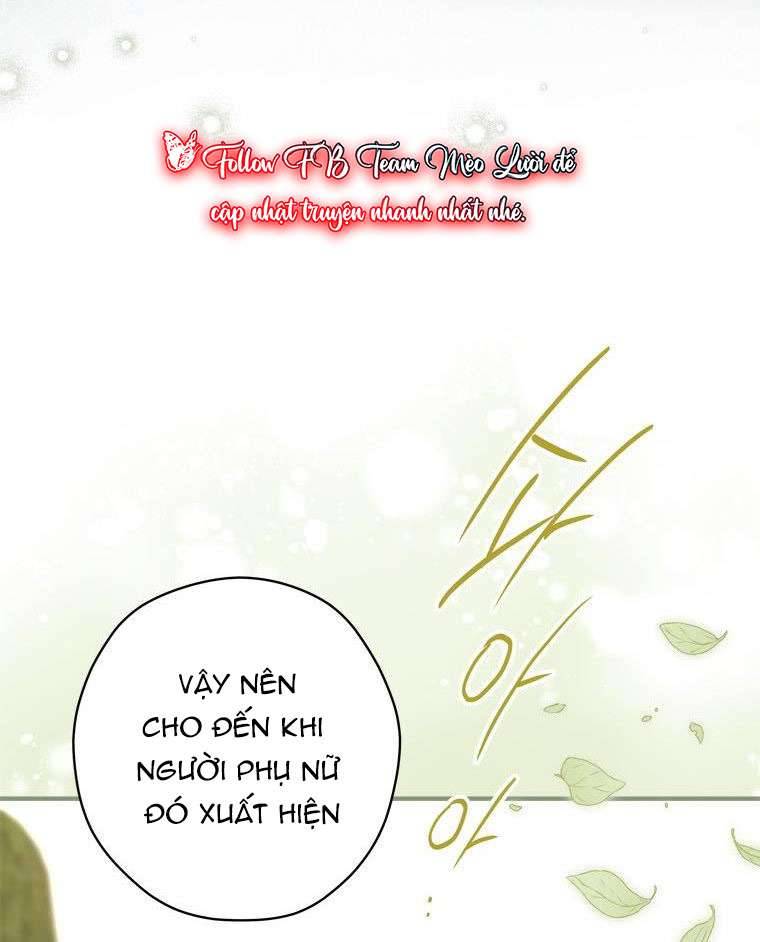 Tôi Đã Bảo Nữ Chính Đang Cải Trang Cơ Mà! Chap 28 - Trang 2