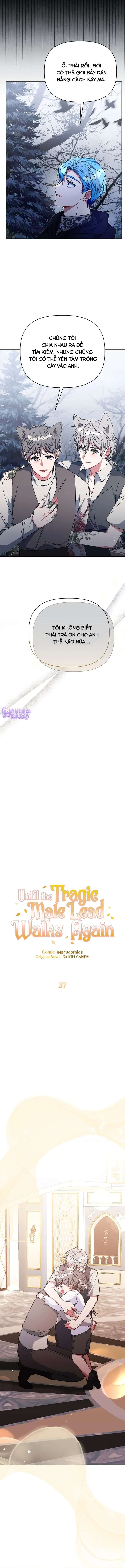 Con Đường Hoa Dành Cho Nam Chính Chap 37 - Trang 2