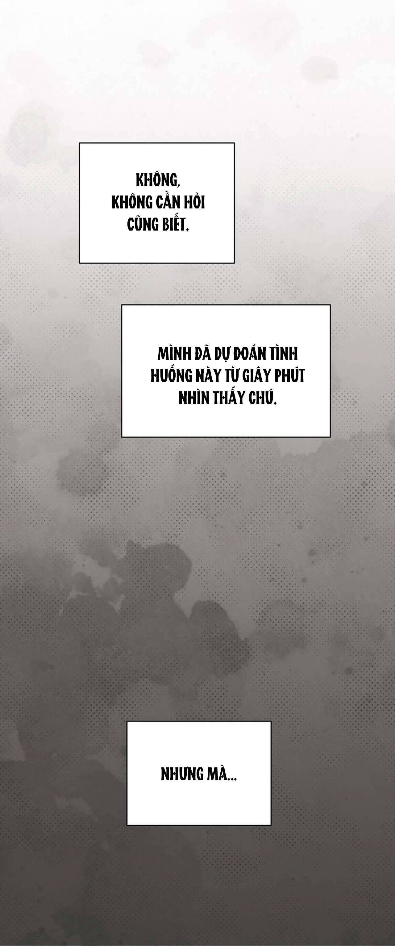 Bình Minh Chap 30 - Next Chapter 30.1