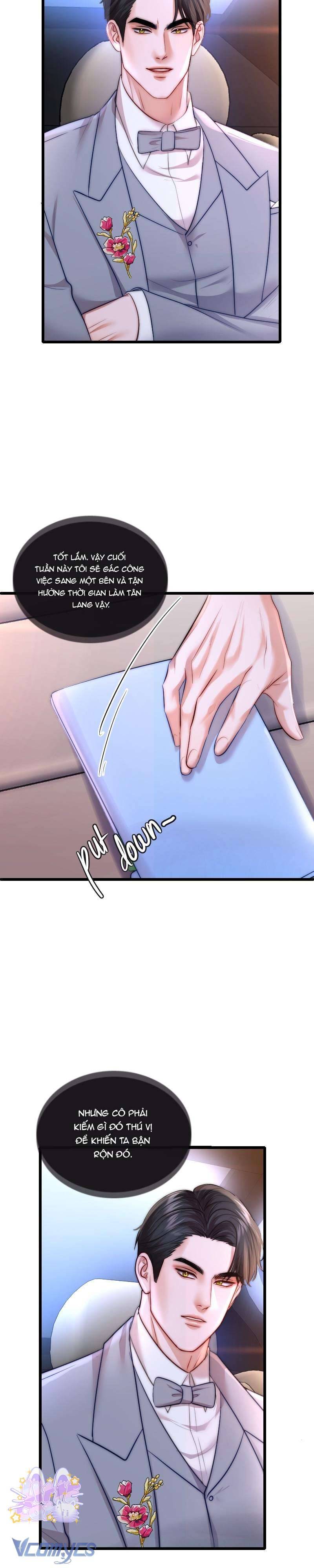 Cô Vợ Thế Thân Của Tỉ Phú Chap 15 - Trang 2