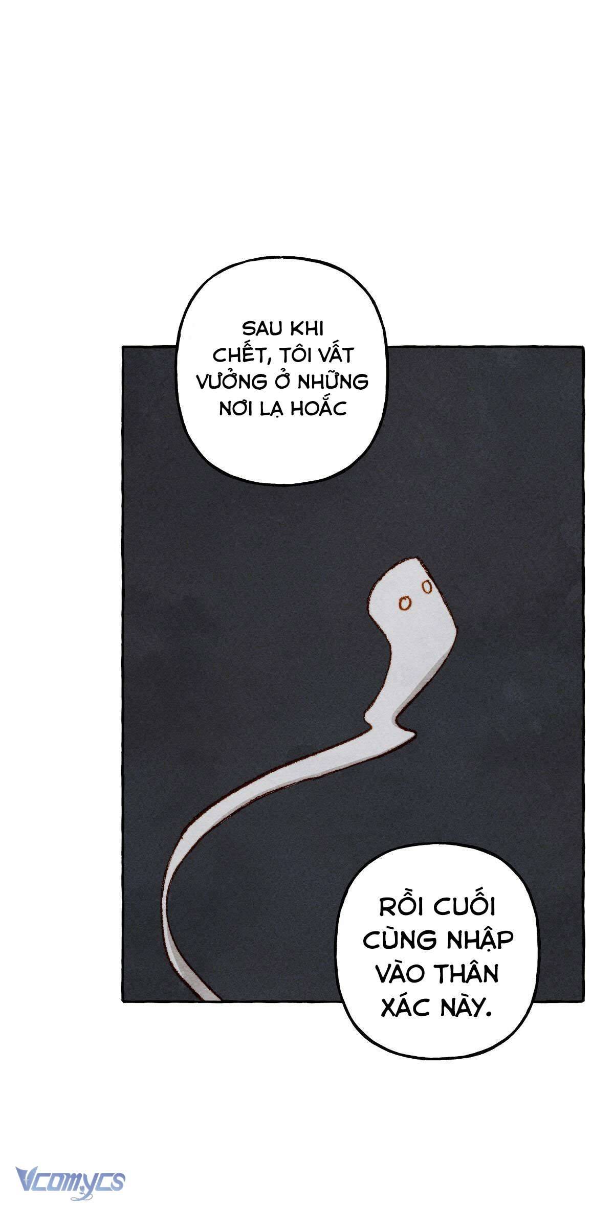 (Munn) Nuôi Dưỡng Một Hắc Long Chap 11 - Trang 2