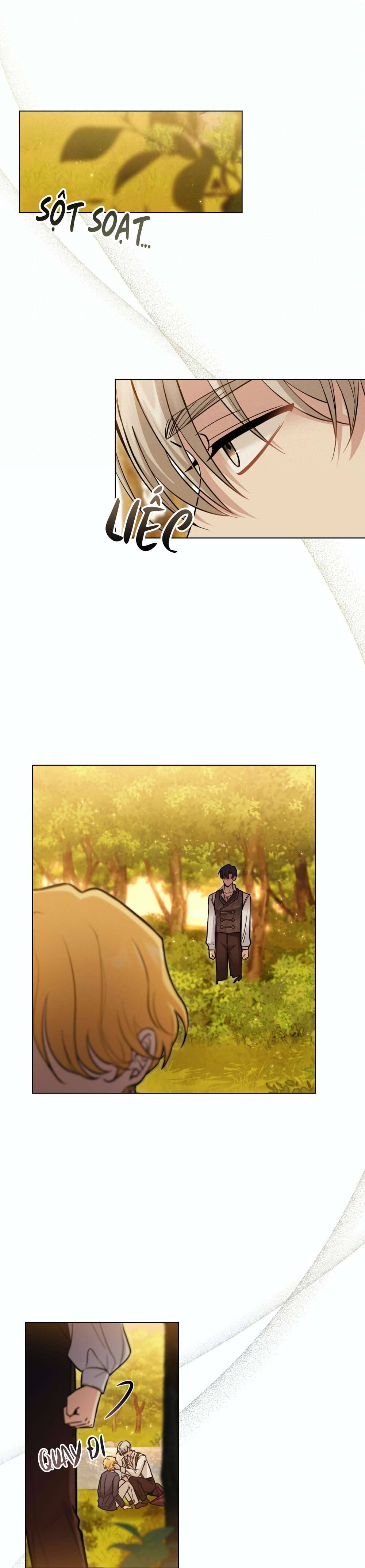 Tìm Lại Camellia Chapter 53 - Next Chapter 54