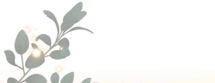 Tôi Tưởng Đó Chỉ Là Tiểu Thuyết Trọng Sinh Bình Thường Chap 42 - Trang 2