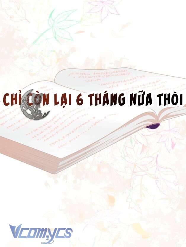 Sự Điều Trị Đặc Biệt Của Tinh Linh Chapter 50 - Next Chapter 51
