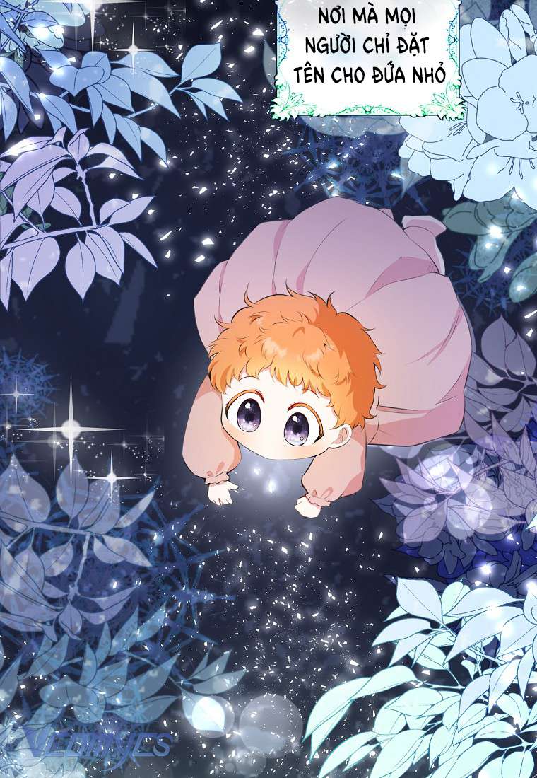 Sóc Con Tài Năng Chap 5 - Next Chap 6