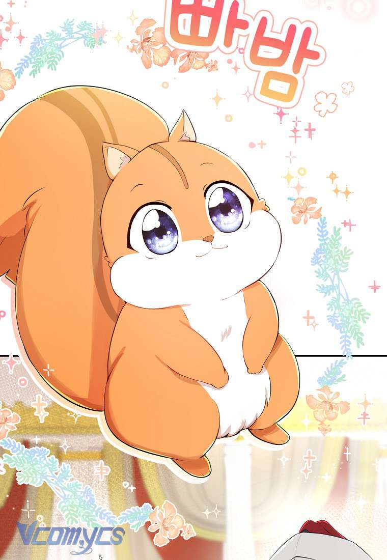 Sóc Con Tài Năng Chap 5 - Next Chap 6