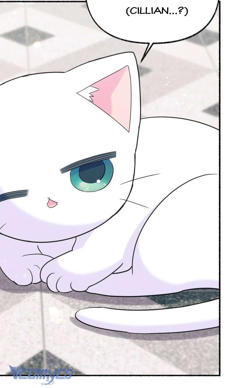 Trở Thành Chú Mèo Ngủ Cùng Bạo Chúa Chapter 15 - Next Chapter 16