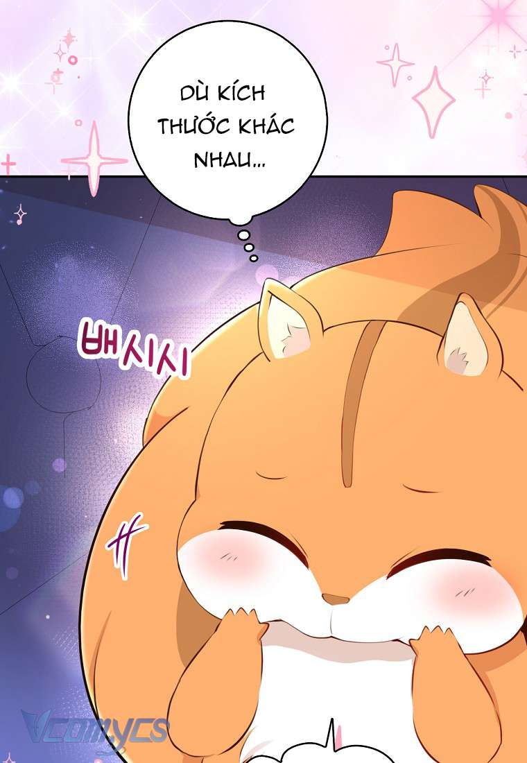 Sóc Con Tài Năng Chap 5 - Next Chap 6