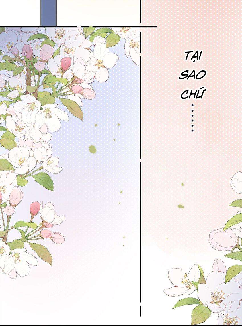 Ánh Sao Phiêu Linh Trong Nước Chapter 49 - Trang 4