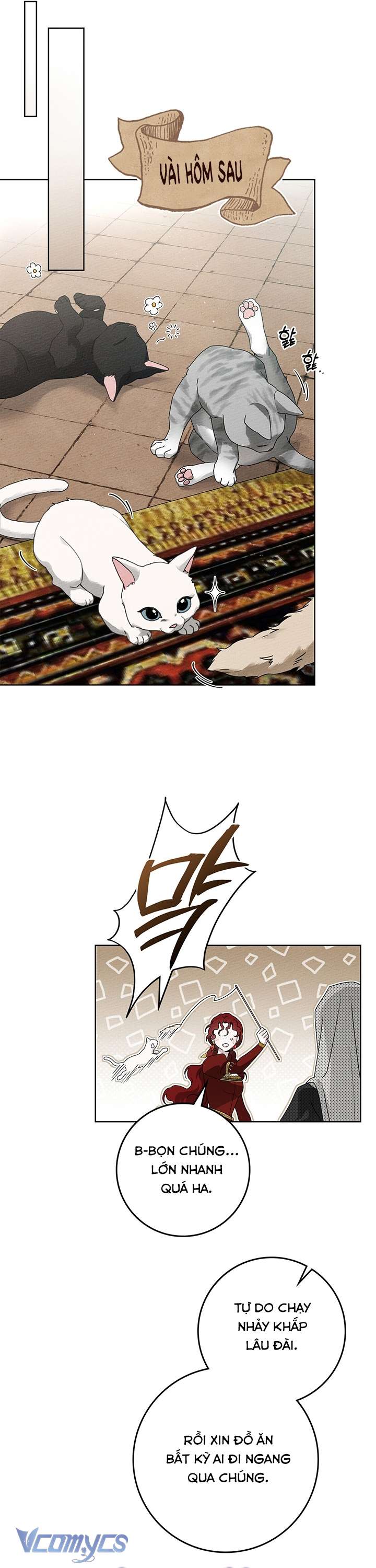 Dưới Bóng Cây Sồi Chap 74 - Next Chapter 74.1