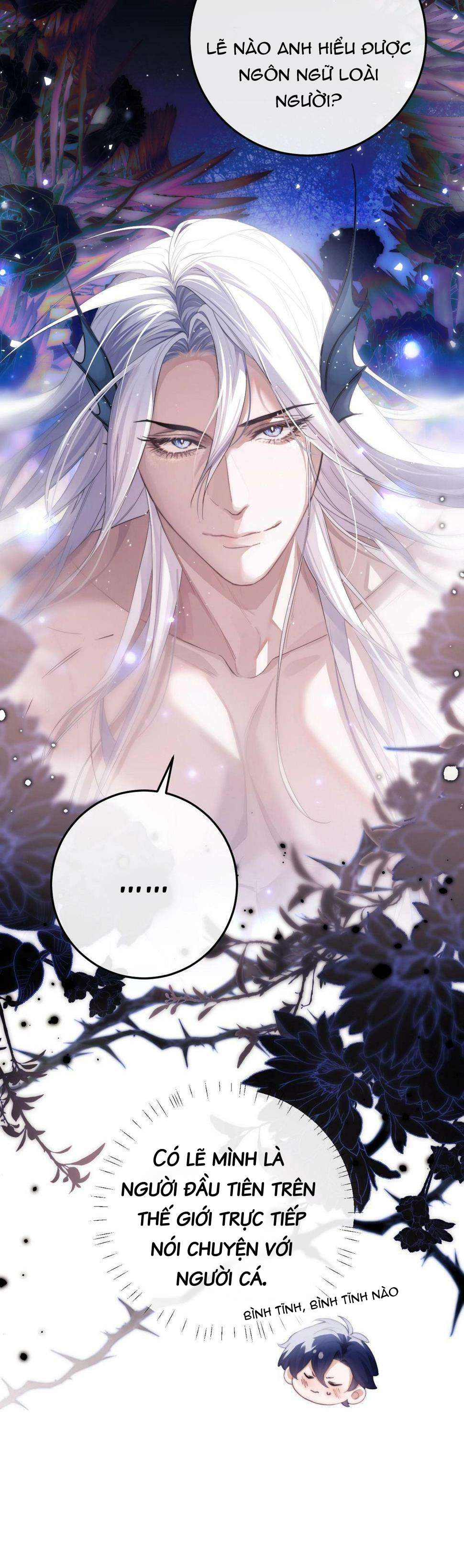 Nhân Ngư Desharow Chapter 3 - Next Chapter 4