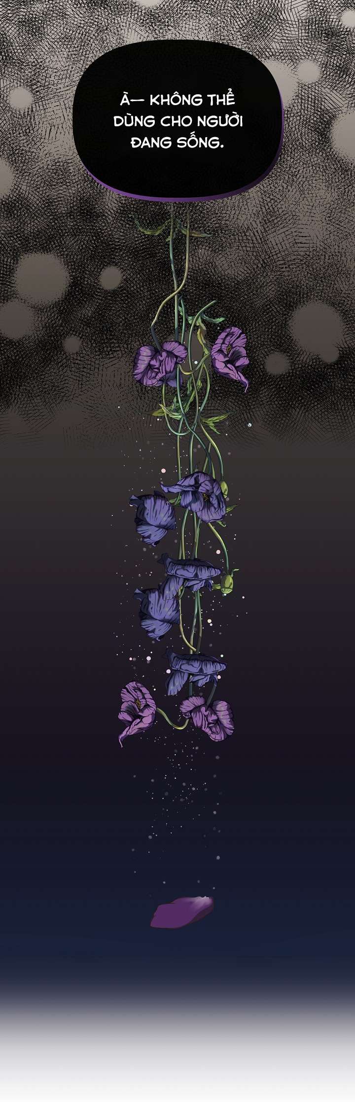 Tôi Không Phải Là Cinderella Chapter 73 - Trang 4