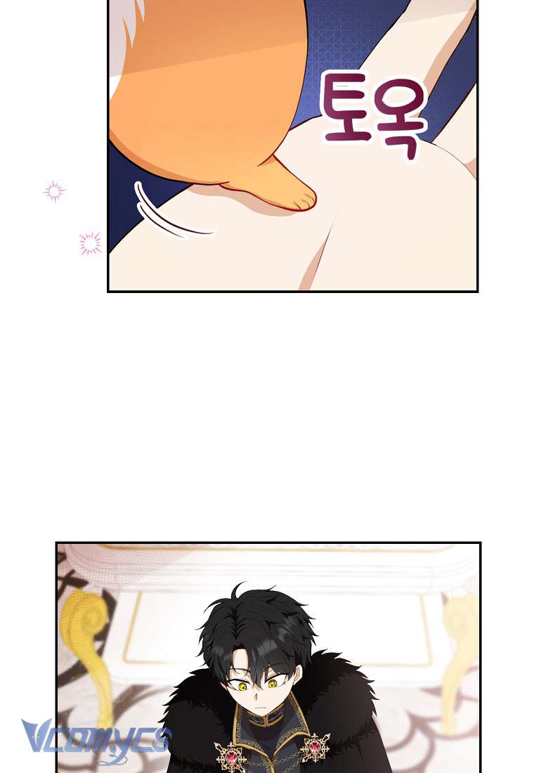 Sóc Con Tài Năng Chap 5 - Next Chap 6