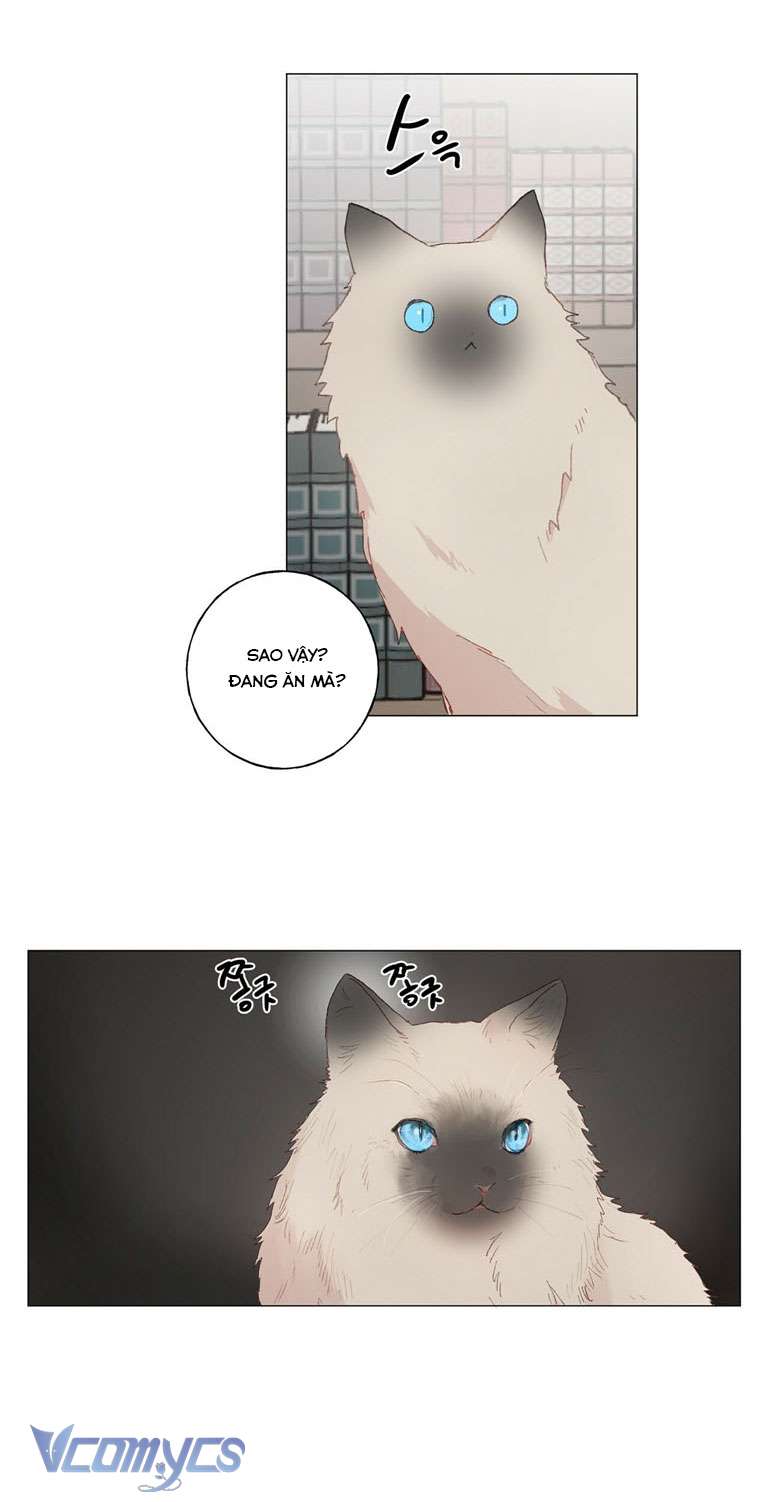 [18+] Sư Phụ Chọn Ứng Cử Viên Làm Chồng Cho Tôi Chapter 29 - Trang 3