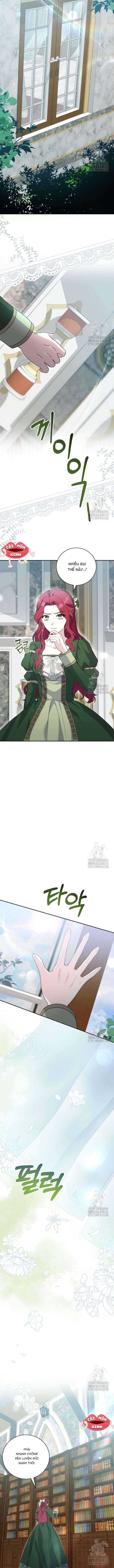 Khi Người Mẹ Kế Tham Vọng Làm Bá Chủ Hậu Cung Chap 1 - Next Chap 2