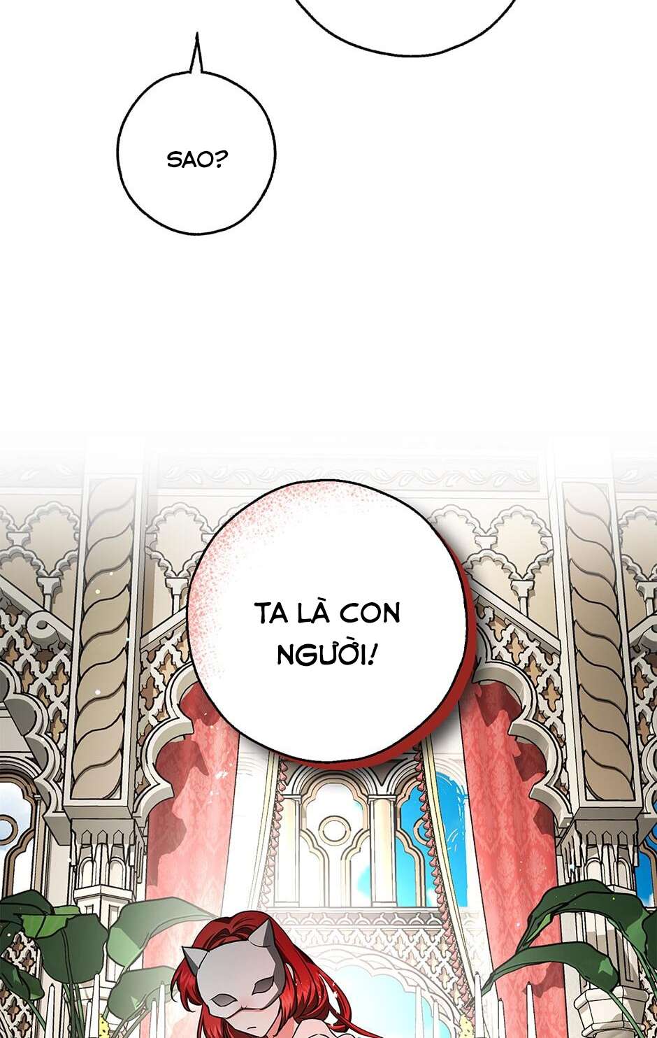 Hôn Phu Ẩn Sắc Chapter 39 - Trang 4