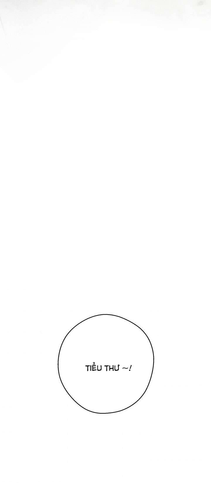 Trước Tiên Phải Giấu Em Trai Cái Đã! Chap 23 - Trang 2