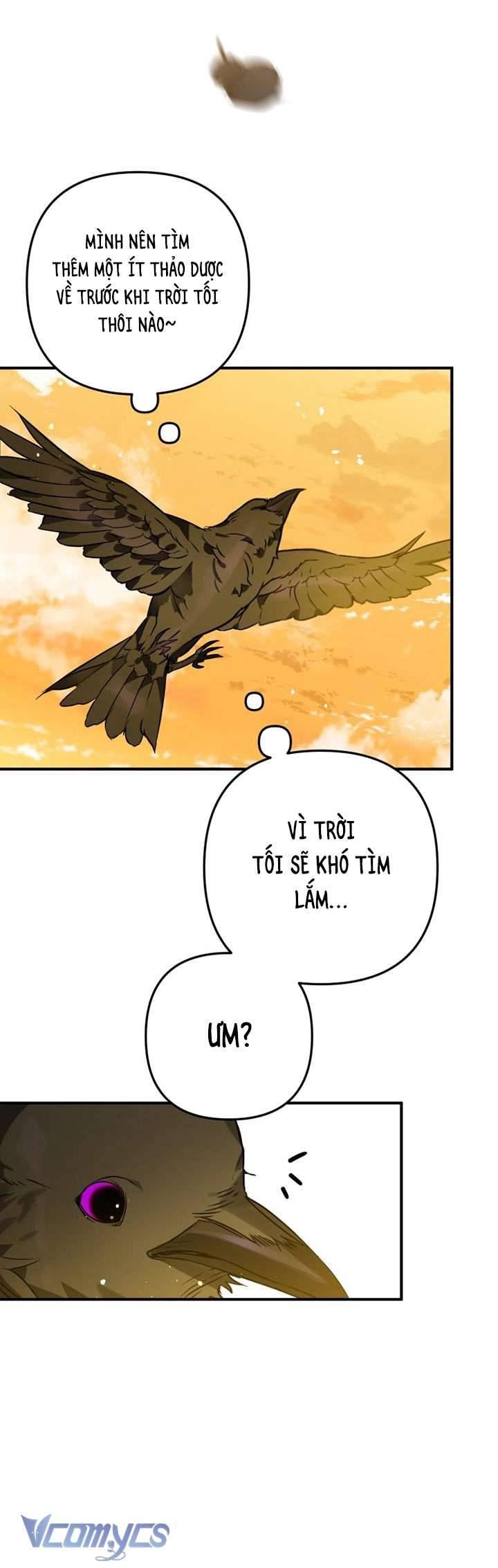 Bỗng Nhiên Tôi Trở Thành Quạ Đen!! Chapter 3 - Trang 4