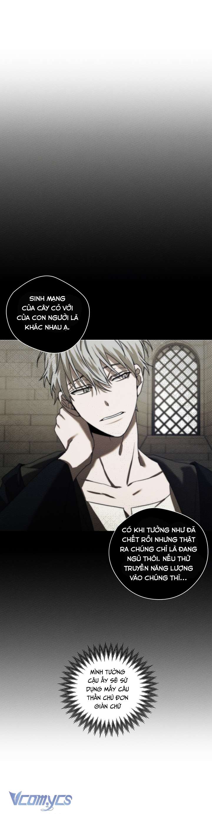 Dưới Bóng Cây Sồi Chap 23 - Next Chap 24