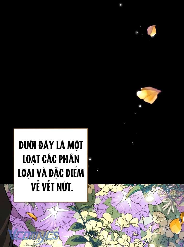 Tôi Là Em Gái Của Nhân Vật Chính Chap 5 - Trang 2