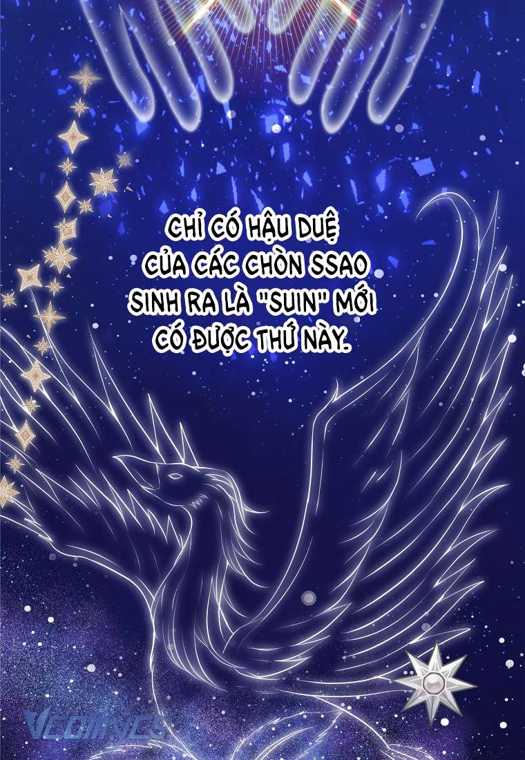 Sóc Con Tài Năng Chap 1 - Next Chap 2