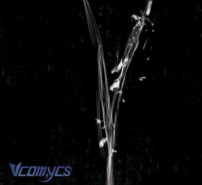 Tôi bị mắc kẹt trong một vở kịch điên rồ Chap 19 - Next Chap 20