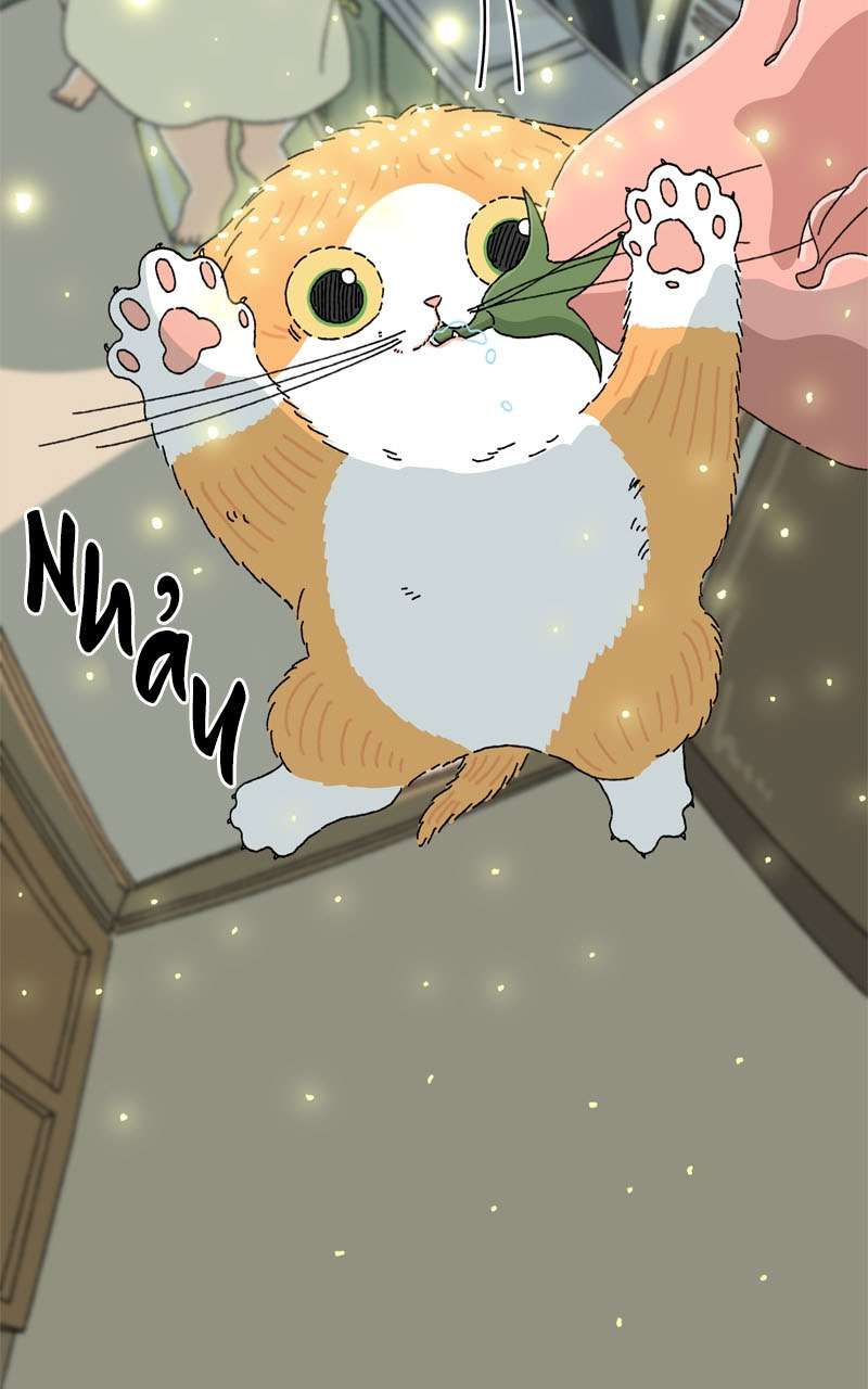 Chú Mèo Tata Chapter 3 - Next Chapter 4