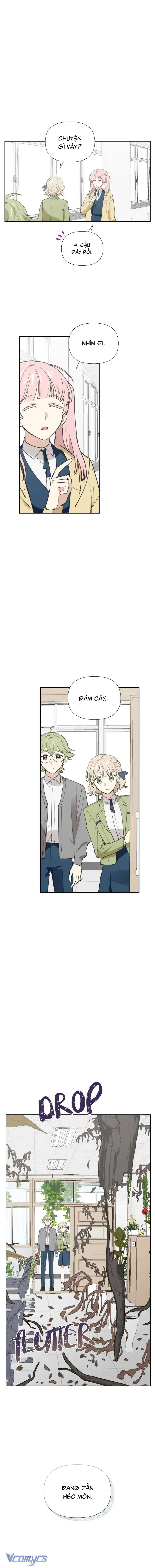 Điều Ước Sao Băng Chapter 11 - Next Chapter 12