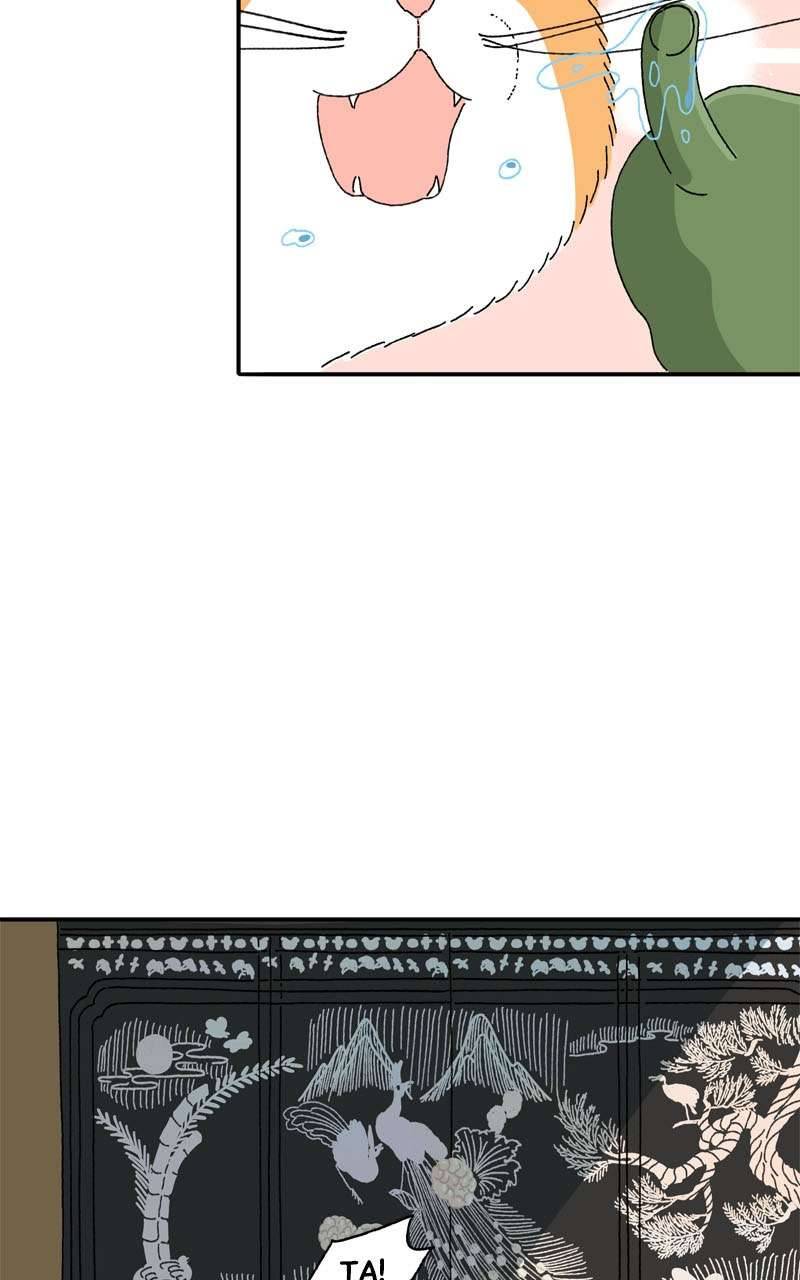 Chú Mèo Tata Chapter 3 - Next Chapter 4