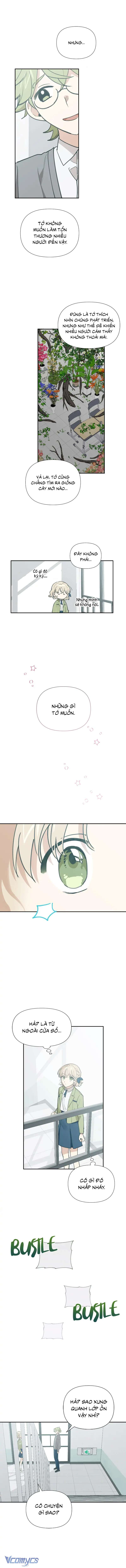 Điều Ước Sao Băng Chapter 11 - Next Chapter 12