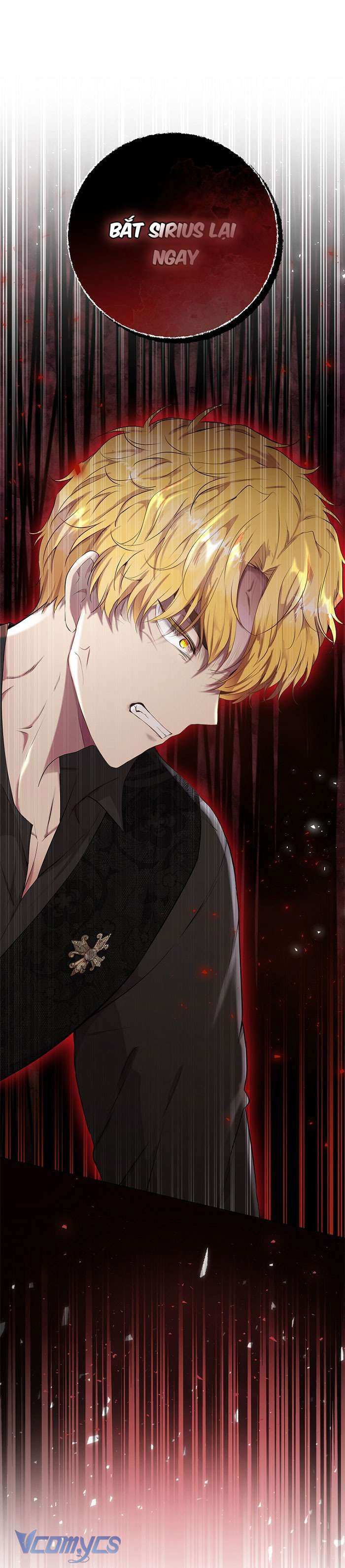 Sóc Con Tài Năng Chap 35 - Next Chap 36