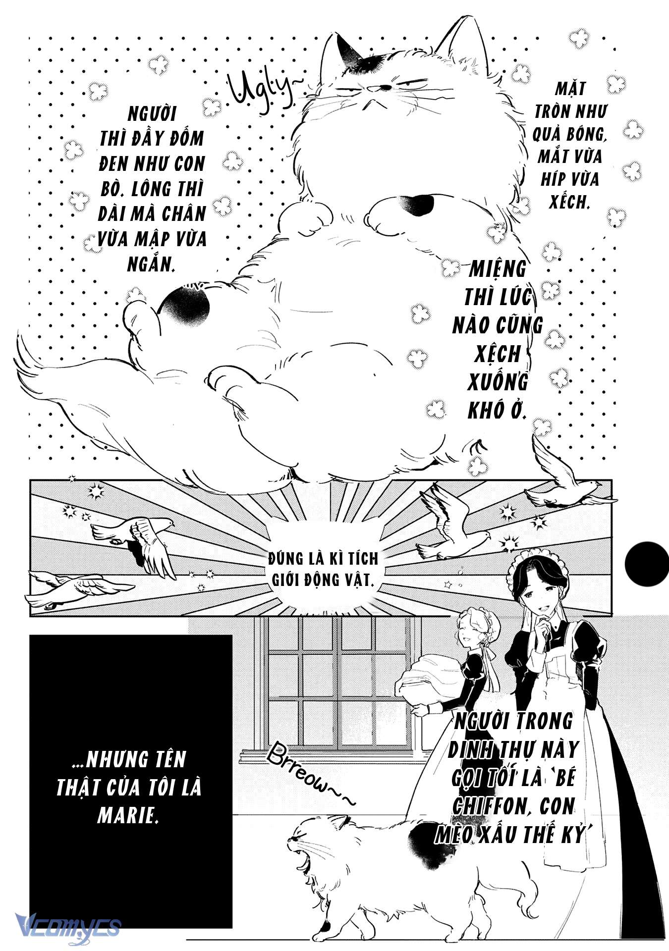 Nàng Tiểu Thư Bẽn Lẽn Bị Biến Thành Một Con Mèo Xấu Xí Nhưng Khi Bất Tỉnh Được Công Tước Sĩ Quan Mang Về Chap 1 - Next 