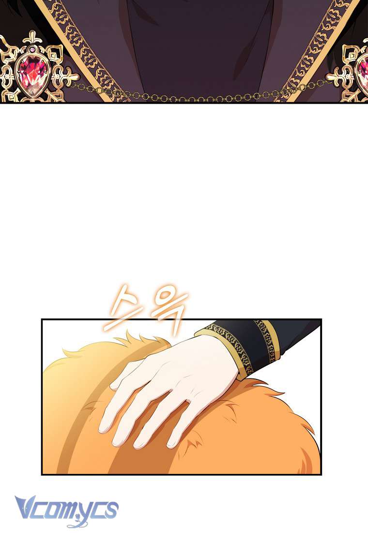 Sóc Con Tài Năng Chap 7 - Next Chap 8