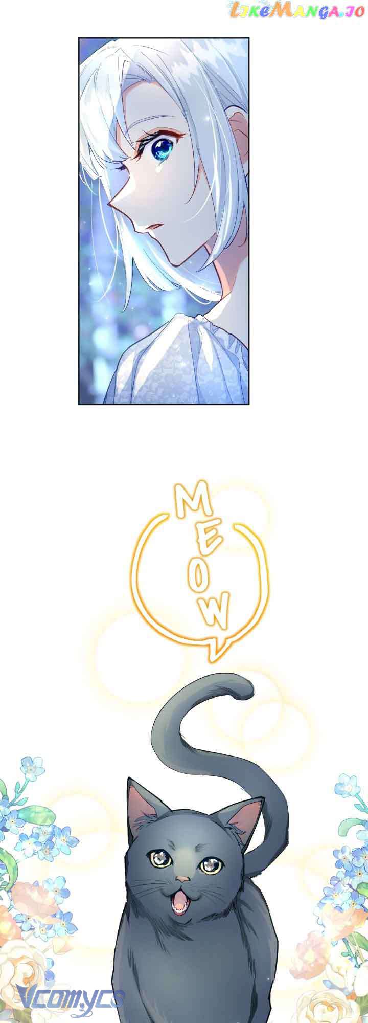 Sự Báo Thù Của Một Vị Thánh Chap 69 - Next Chap 70