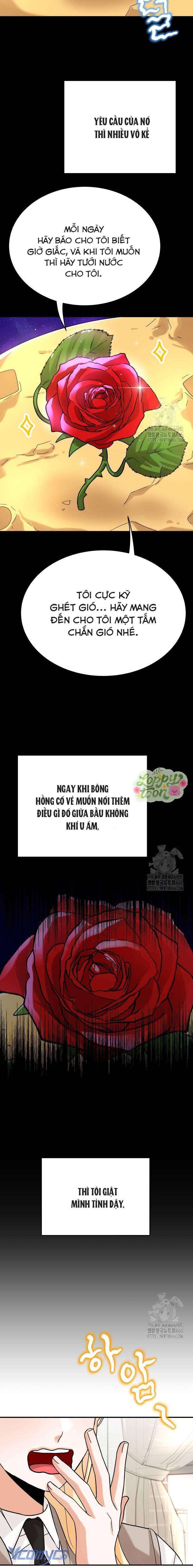 Kiếp Sau Vẫn Là Hoàng Tử Bé Chap 3 - Next Chap 4