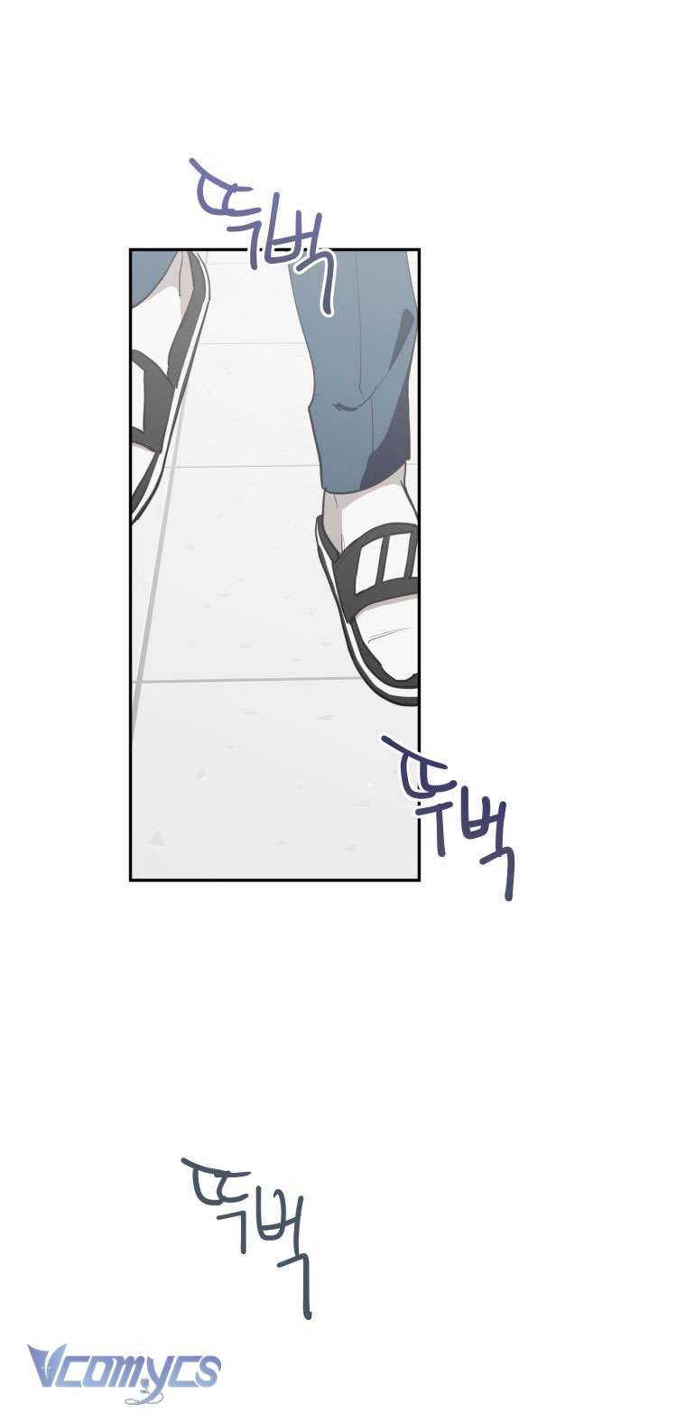 Điều Ước Sao Băng Chap 3 - Next Chap 4