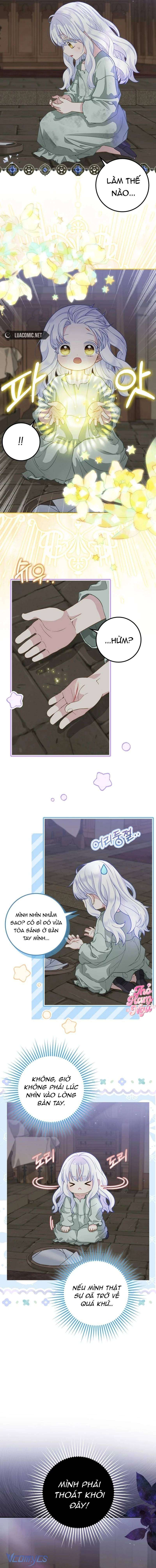 Bé Con Báo Tuyết Của Gia Tộc Báo Đen Chap 1 - Next Chap 2