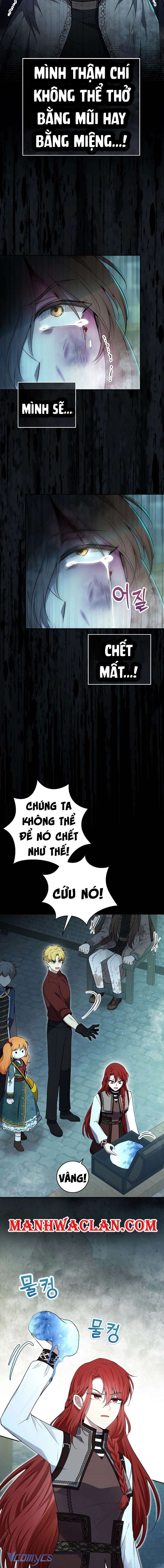 Sóc Con Tài Năng Chap 65 - Next Chap 66