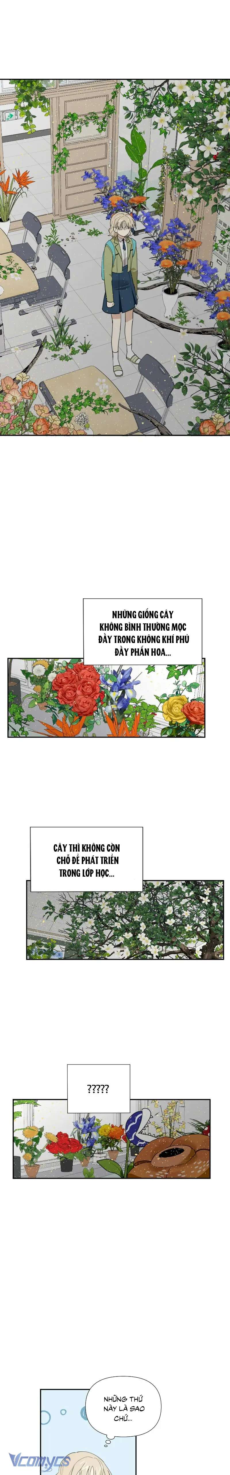 Điều Ước Sao Băng Chapter 11 - Next Chapter 12