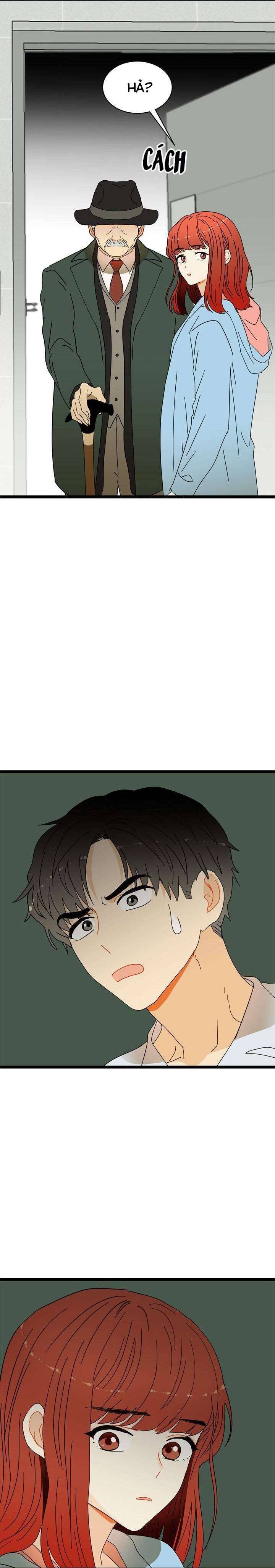 Giả Mạo Theo Phong Cách Chapter 23 - Next Chapter 24