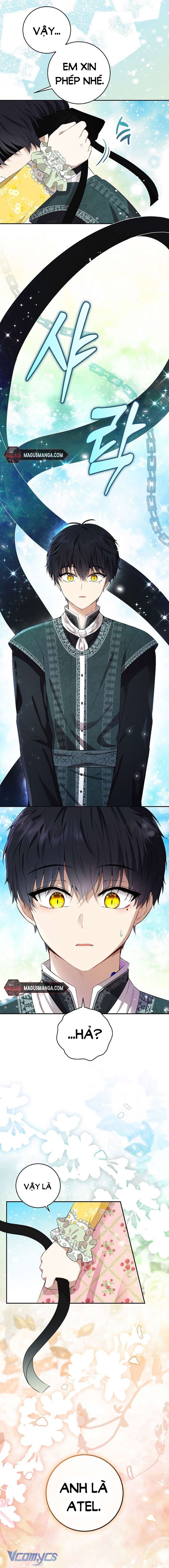 Sóc Con Tài Năng Chap 68 - Next Chap 69