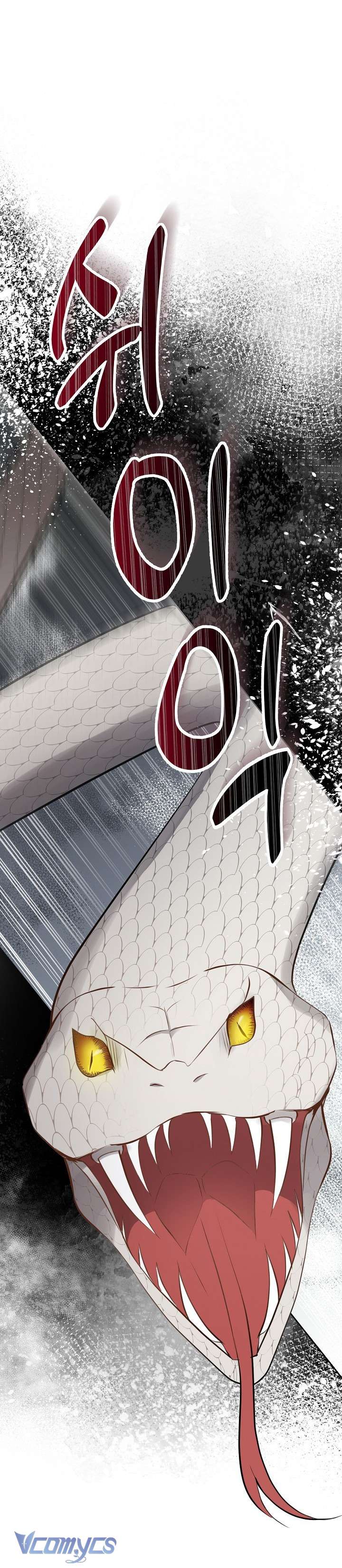 Sóc Con Tài Năng Chap 28 - Next Chap 29