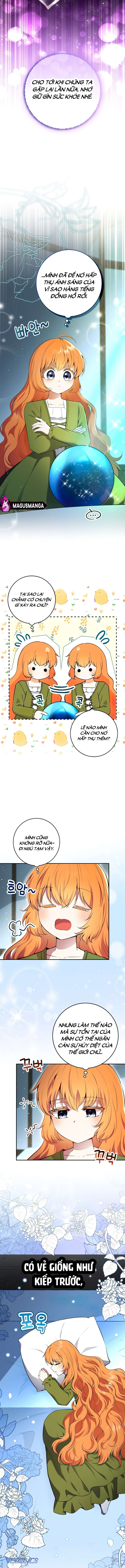 Sóc Con Tài Năng Chap 78 - Next Chap 79