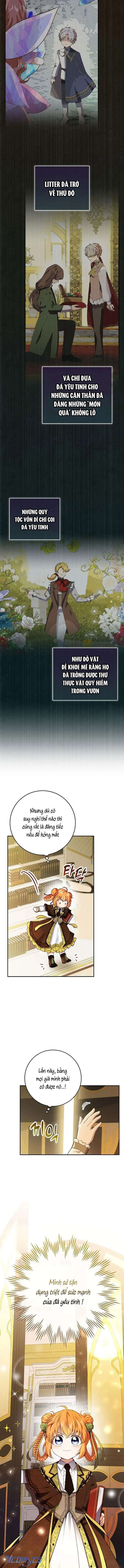 Sóc Con Tài Năng Chap 49 - Next Chap 50