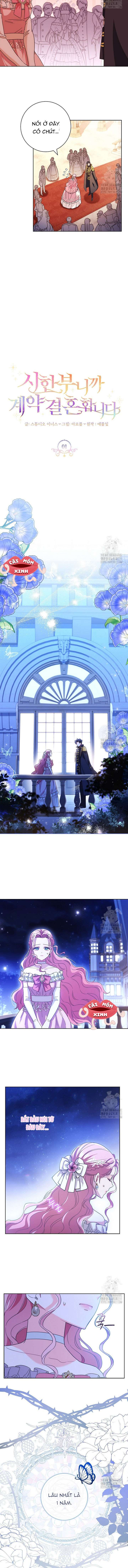 Tôi Phải Mau Chóng Kết Hôn Vì Thời Gian Có Hạn Chapter 1 - Next Chapter 2