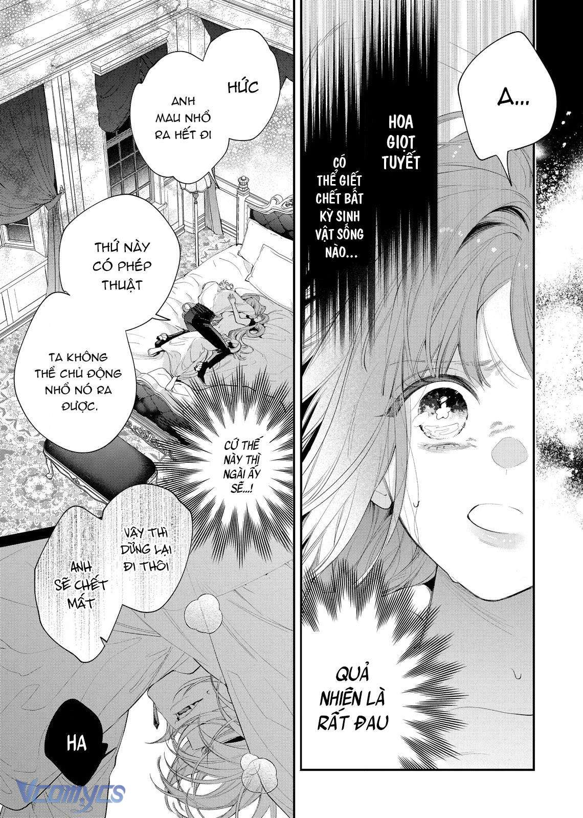 Hoa Hồng Ẩn Giấu Sao Băng Chapter 8 - Trang 4