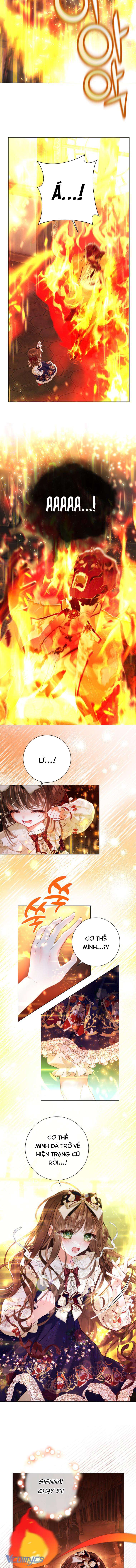 Một Thế Giới Không Có Chị Gái Mà Ai Cũng Yêu Chap 38 - Trang 4